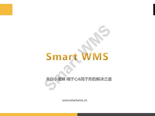 ppt分享 眼鏡行業(yè) 智慧倉儲(chǔ)管理解決方案
